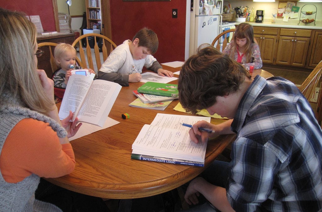 7 Ways to Encourage Reading in a Homeschool Setting
